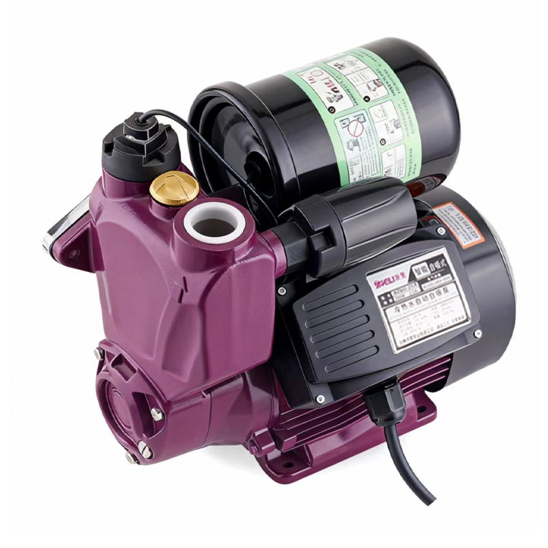 Máy bơm nước gắn nổi 220V áp suất cao, loại nhỏ, chạy bằng điện, dùng cho vườn nhà