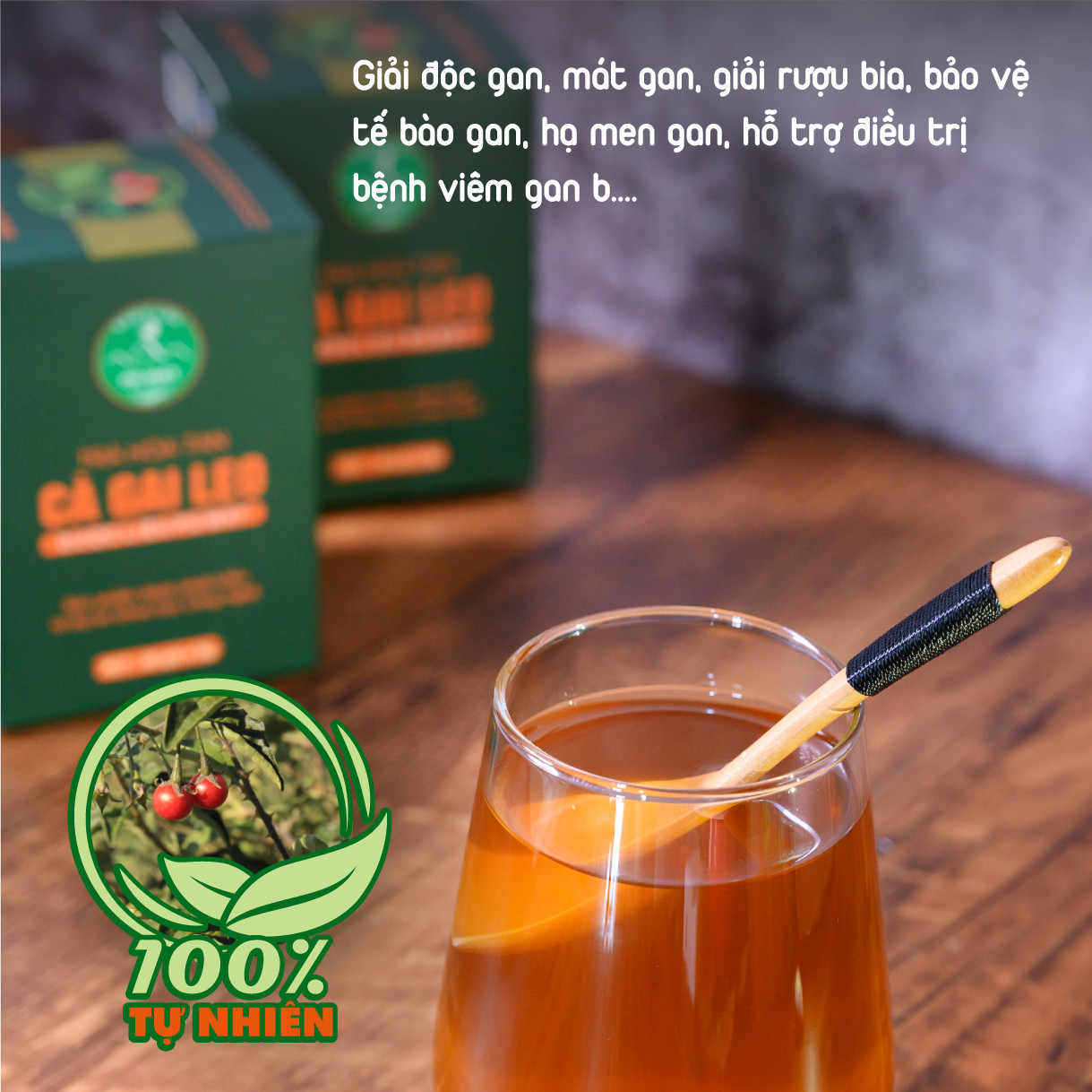 Trà hòa tan cà gai leo Pù Mát