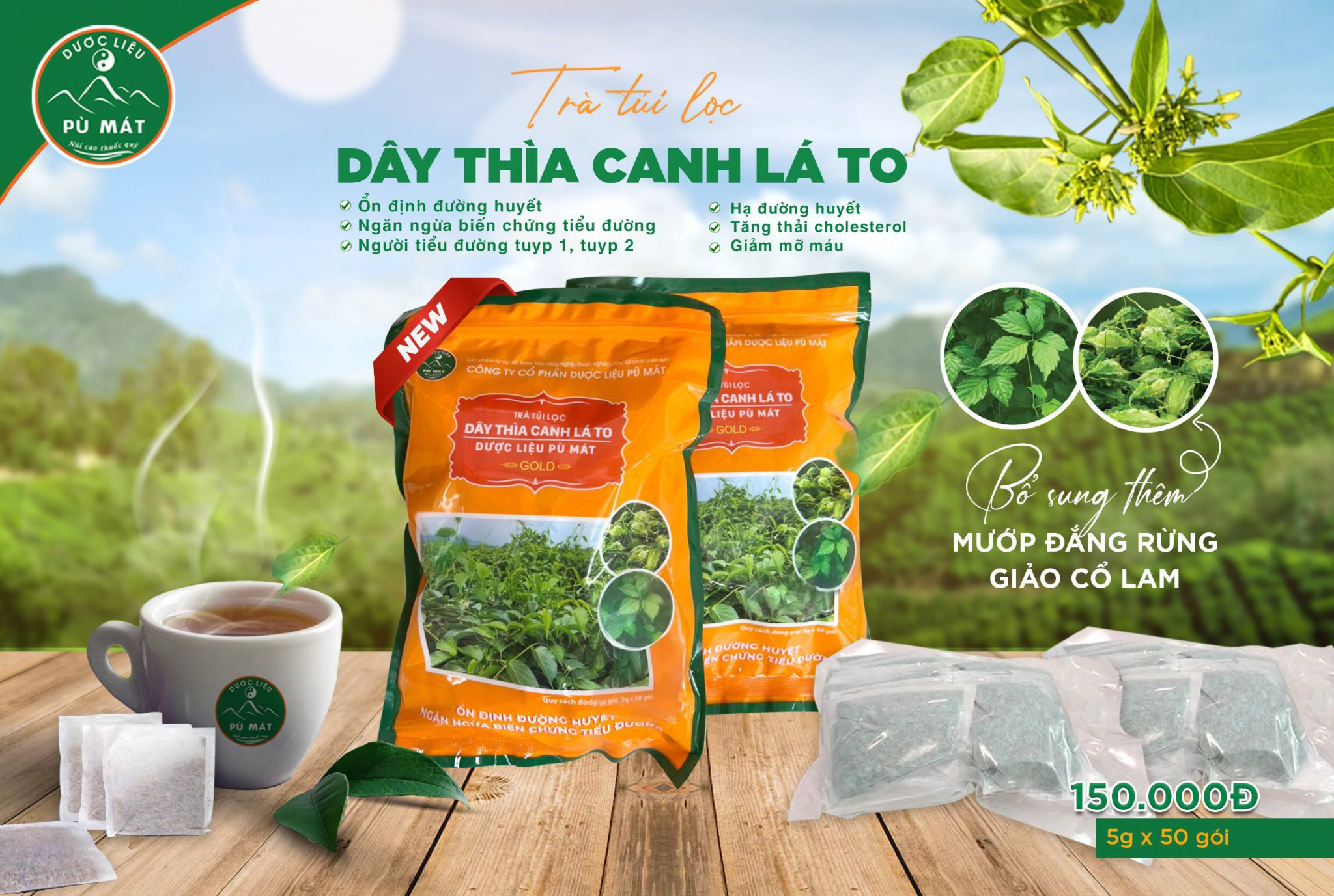 Trà túi lọc dây thìa canh lá to Pù Mát – Túi Zip 250g