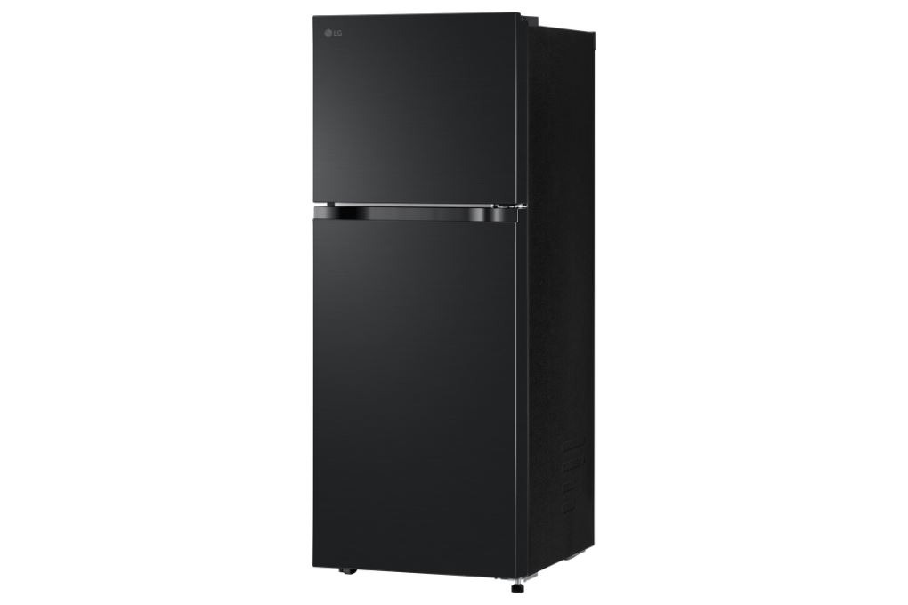 Tủ lạnh LG Inverter 217 lít LTB21BLMI